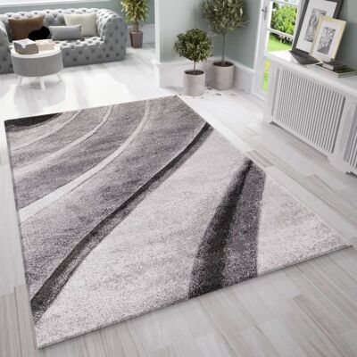 Tapis - VIMODA - Infinity - Design Moderne - Motif Vagues - Gris - 120x170 cm Gris - Publicité Tapis - VIMODA - Infinity - Design Moderne - Motif Vagues - Gris - 120x170 cm Gris - Publicité