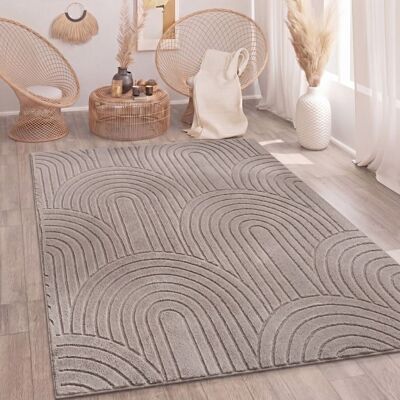 Paco Home Tapis de salon Chambre à coucher Tapis à poils longs Doux Lavable Uni Aspect 3D Taupe Taupe 160x220 cm Gris - Publicité Paco Home Tapis de salon Chambre à coucher Tapis à poils longs Doux Lavable Uni Aspect 3D Taupe Taupe 160x220 cm Gris - Publicité