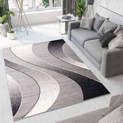 TAPISO Tapis Salon Poil Court DREAM Gris Noir Vagues 100% Polypropylène Intérieur 160x230 cm Gris - Publicité TAPISO Tapis Salon Poil Court DREAM Gris Noir Vagues 100% Polypropylène Intérieur 160x230 cm Gris - Publicité