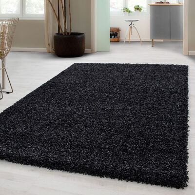 Carpetsale24 Uni Tapis de Salon Shaggy Uni Tapis Anthracite 160x230 cm Chambre Tapis Poil Long Moelleux et Doux Noir - Publicité Carpetsale24 Uni Tapis de Salon Shaggy Uni Tapis Anthracite 160x230 cm Chambre Tapis Poil Long Moelleux et Doux Noir - Publicité