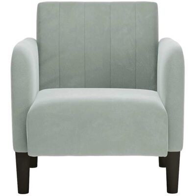 VIDAXL CLARENCE® Fauteuil simple - Chaise-Canapé - pour salon/chambre/bureau - avec accoudoirs gris clair 54 cm velours LV5187 Gris - Publicité VIDAXL CLARENCE® Fauteuil simple - Chaise-Canapé - pour salon/chambre/bureau - avec accoudoirs gris clair 54 cm velours LV5187 Gris - Publicité