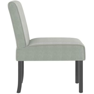 VIDAXL Chaise simple - Gris - Fauteuil sans accoudoirs - 1 PC - gris clair velours 48x64x72 cm F8383 Gris - Publicité VIDAXL Chaise simple - Gris - Fauteuil sans accoudoirs - 1 PC - gris clair velours 48x64x72 cm F8383 Gris - Publicité