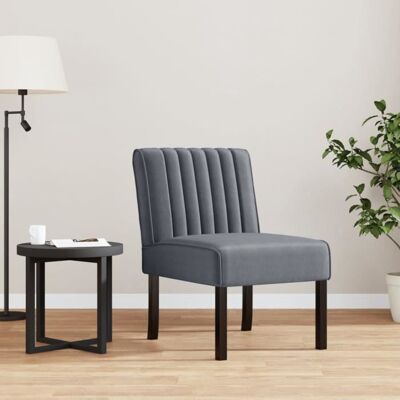 vidaXL Fauteuil sans accoudoirs gris foncé velours 352452 Gris - Publicité vidaXL Fauteuil sans accoudoirs gris foncé velours 352452 Gris - Publicité