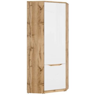 PEGANE Armoire Placard dangle 1 porte coloris Chêne wotan/Blanc brillant - Longueur 78 x Profondeur 78 x Hauteur 198cm Blanc - Publicité PEGANE Armoire Placard dangle 1 porte coloris Chêne wotan/Blanc brillant - Longueur 78 x Profondeur 78 x Hauteur 198cm Blanc - Publicité