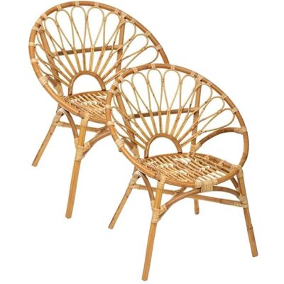 PEGANE Lot de 2 Fauteuils en rotin naturel - Longueur 67 x Profondeur 61 x Hauteur 84 cm Beige - Publicité PEGANE Lot de 2 Fauteuils en rotin naturel - Longueur 67 x Profondeur 61 x Hauteur 84 cm Beige - Publicité