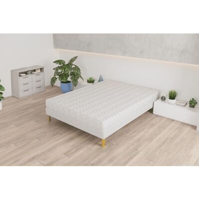 ELITE MATRESS COMPANY Matelas Confort+ 140x200 cm – Hauteur 17 cm - Publicité ELITE MATRESS COMPANY Matelas Confort+ 140x200 cm – Hauteur 17 cm - Publicité