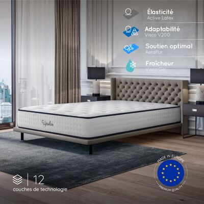 Cosmos Matelas UPSILON 140x190 cm-epaisseur 30 cm-Ferme-7 zones de confort-Mousse à mémoire adaptative-HR 35 kg-Blue Latex-Face été-hiver - Publicité Cosmos Matelas UPSILON 140x190 cm-epaisseur 30 cm-Ferme-7 zones de confort-Mousse à mémoire adaptative-HR 35 kg-Blue Latex-Face été-hiver - Publicité