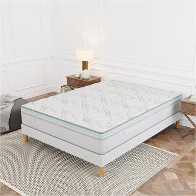 ELITE MATRESS COMPANY Matelas ALOE VERA 180x200 cm Hauteur 27 cm Mémoire de forme Hypoallergénique Qualite Premium Soutien dorsal Confort Ferme - Publicité ELITE MATRESS COMPANY Matelas ALOE VERA 180x200 cm Hauteur 27 cm Mémoire de forme Hypoallergénique Qualite Premium Soutien dorsal Confort Ferme - Publicité