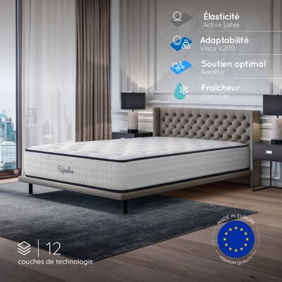 Cosmos Matelas UPSILON 140x190 cm-Epaisseur 32 cm-Ferme-7 zones de confort-Mousse mémoire adaptative-HR 35 kg-Blue Latex-Face été-hiver - Publicité Cosmos Matelas UPSILON 140x190 cm-Epaisseur 32 cm-Ferme-7 zones de confort-Mousse mémoire adaptative-HR 35 kg-Blue Latex-Face été-hiver - Publicité