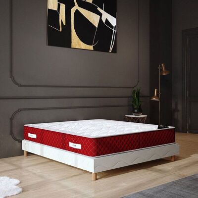 ELITE MATRESS COMPANY Matelas ROSSO 140x190 cm Hauteur 25cm Mousse Polyuréthane Tissu 100% polyester Finitions Premium Confort Ferme - Publicité ELITE MATRESS COMPANY Matelas ROSSO 140x190 cm Hauteur 25cm Mousse Polyuréthane Tissu 100% polyester Finitions Premium Confort Ferme - Publicité
