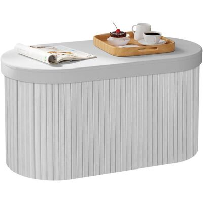 WOLTU Pouf avec Rangement Coffre Ovale Pliable avec Couvercle Rembourré en Velours 76x38x38cm Gris Clair Gris - Publicité WOLTU Pouf avec Rangement Coffre Ovale Pliable avec Couvercle Rembourré en Velours 76x38x38cm Gris Clair Gris - Publicité