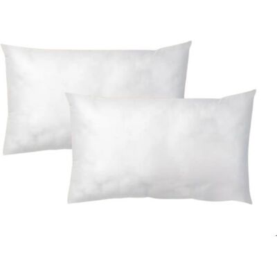 LES NOUVEAUX TEXTILES LNT France Lot de 2 Coussins de garnissages 50x30 cm – ultra gonflant longue durée pour housse canapé déco salon Blanc - Publicité LES NOUVEAUX TEXTILES LNT France Lot de 2 Coussins de garnissages 50x30 cm – ultra gonflant longue durée pour housse canapé déco salon Blanc - Publicité