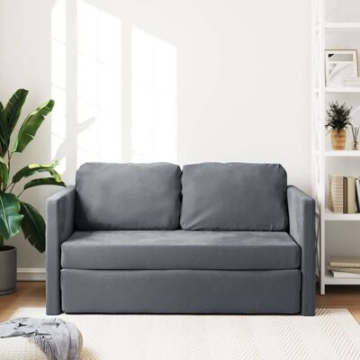 VIDAXL Lit banquette 2 places - convertible - Canapé-lit 2 en 1 gris foncé 122x204x55 cm velours CAL8871903 Gris - Publicité VIDAXL Lit banquette 2 places - convertible - Canapé-lit 2 en 1 gris foncé 122x204x55 cm velours CAL8871903 Gris - Publicité
