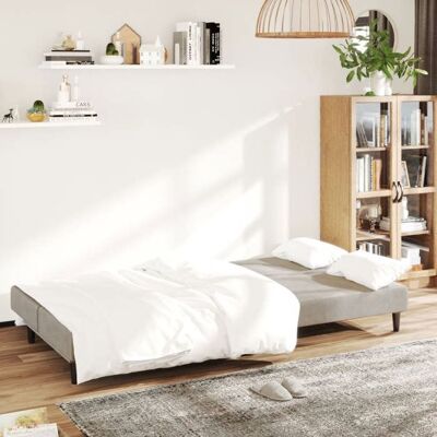 VIDAXL Lit banquette 2 places - convertible - Canapé-lit à 2 places gris clair velours CAL2052279 Gris - Publicité VIDAXL Lit banquette 2 places - convertible - Canapé-lit à 2 places gris clair velours CAL2052279 Gris - Publicité