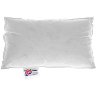HOMESCAPES Coussin de garnissage Duvet et Plumes dOie 30 x 50 cm Blanc - Publicité HOMESCAPES Coussin de garnissage Duvet et Plumes dOie 30 x 50 cm Blanc - Publicité