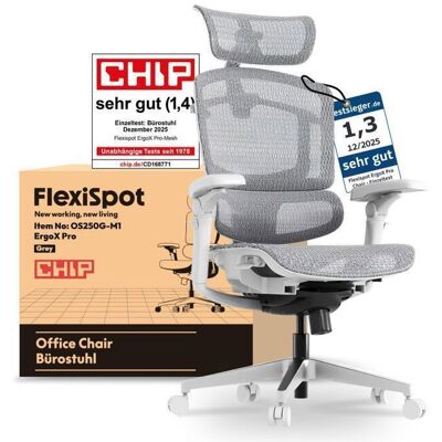 FlexiSpot ErgoX Pro Chaise de Bureau Ergonomique Charge 250 kg Réglage à 12 Niveaux Accoudoirs 7DLombaire 5D Maille Gris Gris - Publicité FlexiSpot ErgoX Pro Chaise de Bureau Ergonomique Charge 250 kg Réglage à 12 Niveaux Accoudoirs 7DLombaire 5D Maille Gris Gris - Publicité