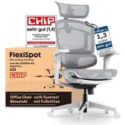 FlexiSpot Chaise Ergonomique avec Repose-Pieds Charge 250 kg Réglage à 12 Niveaux Accoudoirs 7D Lombaire 5D Maille Gris Gris - Publicité FlexiSpot Chaise Ergonomique avec Repose-Pieds Charge 250 kg Réglage à 12 Niveaux Accoudoirs 7D Lombaire 5D Maille Gris Gris - Publicité