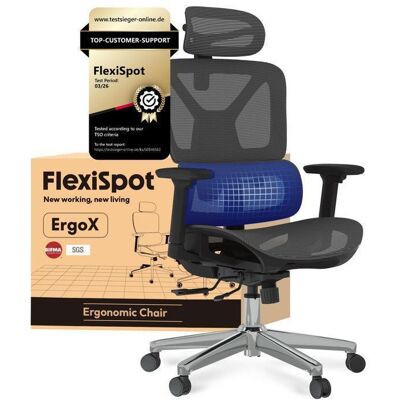 FlexiSpot ErgoX Chaise de Bureau Ergonomique Appui-tête 3D Accoudoir 3D et Support Lombaire 5D Indépendant en Maille Gris Gris - Publicité FlexiSpot ErgoX Chaise de Bureau Ergonomique Appui-tête 3D Accoudoir 3D et Support Lombaire 5D Indépendant en Maille Gris Gris - Publicité