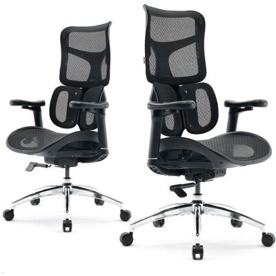 SIHOO Doro S100 Chaise de Bureau Ergonomique avec Un Soutien Lombaire Dynamique Double Dossier réglable sur 5 Niveaux Noir Noir - Publicité SIHOO Doro S100 Chaise de Bureau Ergonomique avec Un Soutien Lombaire Dynamique Double Dossier réglable sur 5 Niveaux Noir Noir - Publicité