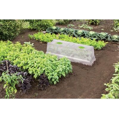 Serre de culture pour potager - EDA PLASTIQUE - 75x375x215cm - Double aération - Filtration UV Gris - Publicité Serre de culture pour potager - EDA PLASTIQUE - 75x375x215cm - Double aération - Filtration UV Gris - Publicité