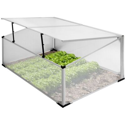 ECD Germany Mini Serre de Jardin sans Fond à 2 Trappes 100x60x40 cm en Polycarbonate Transparent Châssis de Couche Gris - Publicité ECD Germany Mini Serre de Jardin sans Fond à 2 Trappes 100x60x40 cm en Polycarbonate Transparent Châssis de Couche Gris - Publicité
