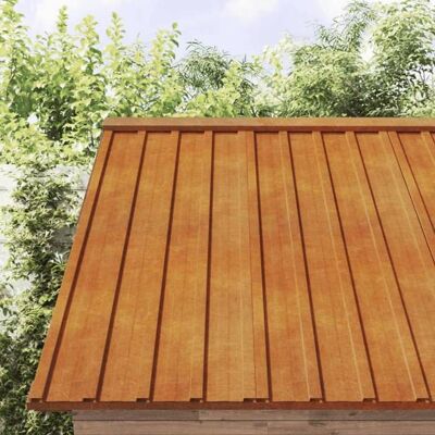 Panneaux de Toit en Acier Corten Rétro 100x44cm - Panneaux de Toit vidaXL - Publicité Panneaux de Toit en Acier Corten Rétro 100x44cm - Panneaux de Toit vidaXL - Publicité