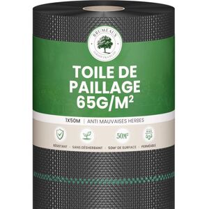 BRUMEAUX Toile de Paillage 65g/m² Geotextile Anti Repousse 50M pour Jardin Potager Bache anti Mauvaises Herbes 65g Noir - Publicité BRUMEAUX Toile de Paillage 65g/m² Geotextile Anti Repousse 50M pour Jardin Potager Bache anti Mauvaises Herbes 65g Noir - Publicité