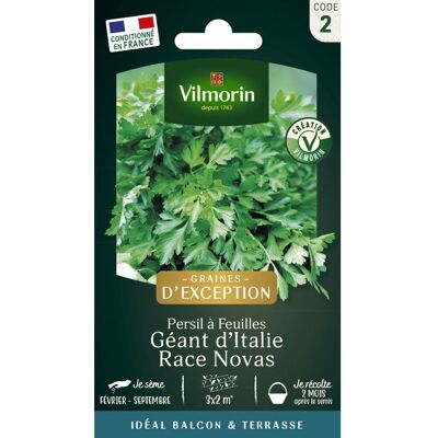 Graine - Vilmorin - Persil Gigante dItalia (Géant dItalie) race Novas - Graines dException - Publicité Graine - Vilmorin - Persil Gigante dItalia (Géant dItalie) race Novas - Graines dException - Publicité