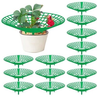 Support de fraisier - Pack de 10 pièces - Facile à assembler - Protection des plants - Culture de fraises Blanc - Publicité Support de fraisier - Pack de 10 pièces - Facile à assembler - Protection des plants - Culture de fraises Blanc - Publicité
