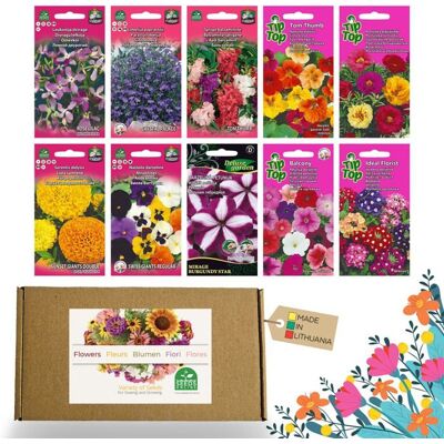 NOJAUS SĖKLOS Lot de graines de fleurs - Graines de fleurs 10 variétés - Graines de fleurs de balcon - Graines de plantes colorées - 10 paquets - Publicité NOJAUS SĖKLOS Lot de graines de fleurs - Graines de fleurs 10 variétés - Graines de fleurs de balcon - Graines de plantes colorées - 10 paquets - Publicité