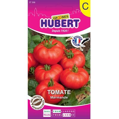 Graines de tomate Marmande - Sachet de 0 5 g - Environ 200 graines - Variété précoce - Fruits rouges côtelés - Publicité Graines de tomate Marmande - Sachet de 0 5 g - Environ 200 graines - Variété précoce - Fruits rouges côtelés - Publicité