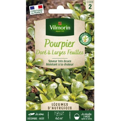 Graines - Vilmorin - Pourpier Doré à larges feuilles - Légumes dAutrefois - Publicité Graines - Vilmorin - Pourpier Doré à larges feuilles - Légumes dAutrefois - Publicité