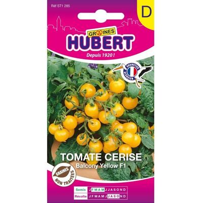 Graines de tomate cerise - Balconi Yellow F1 - Sachet de 15 graines - Spécial pots - Plante buissonnante - Publicité Graines de tomate cerise - Balconi Yellow F1 - Sachet de 15 graines - Spécial pots - Plante buissonnante - Publicité