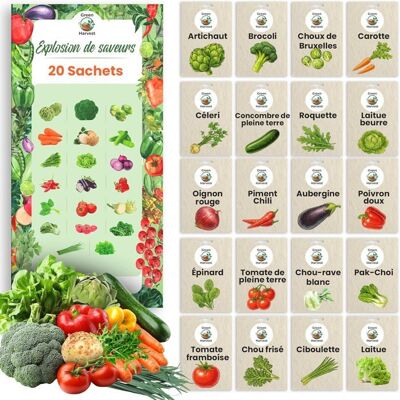 Kit de Graines de Légumes 20 Variétés-Graine Premium pour JardinBalcon et Potager-TomateConcombreRoquetteLaitue - Publicité Kit de Graines de Légumes 20 Variétés-Graine Premium pour JardinBalcon et Potager-TomateConcombreRoquetteLaitue - Publicité