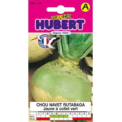 Graines de Chou Navet Rutabaga - Sachet de 5 g - Environ 1400 graines - Racine ronde - Chair jaune - Semer mai à juin - Publicité Graines de Chou Navet Rutabaga - Sachet de 5 g - Environ 1400 graines - Racine ronde - Chair jaune - Semer mai à juin - Publicité