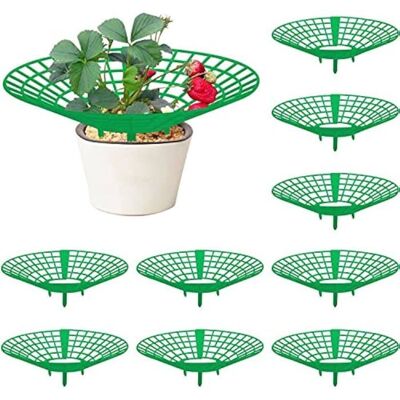 WELLSLXB Support de fraisier - Pack de 10 pièces - Facile à assembler - Protection des plants - Culture de fraises - Publicité WELLSLXB Support de fraisier - Pack de 10 pièces - Facile à assembler - Protection des plants - Culture de fraises - Publicité