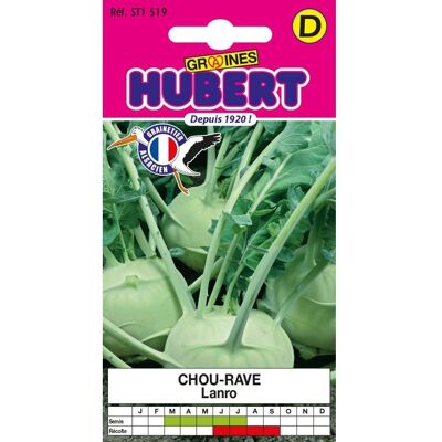 Graines de Chou-Rave - Lanro - Sachet de 05 g - Environ 100 graines - Raves vert-blanc - 200-300 g - Croissance rapide - Publicité Graines de Chou-Rave - Lanro - Sachet de 05 g - Environ 100 graines - Raves vert-blanc - 200-300 g - Croissance rapide - Publicité