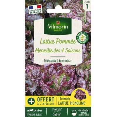 VILMORIN Sachet graines Laitue Merveille des quatre saisons- - Publicité VILMORIN Sachet graines Laitue Merveille des quatre saisons- - Publicité