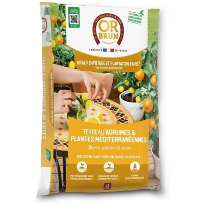Oliviers Palmiers & Cycas 6L - Terreau pour agrumes et plantes méditerranéennes - Publicité Oliviers Palmiers & Cycas 6L - Terreau pour agrumes et plantes méditerranéennes - Publicité
