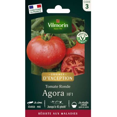 Graines - Vilmorin - Tomate Agora F1 - Graines dException - Publicité Graines - Vilmorin - Tomate Agora F1 - Graines dException - Publicité