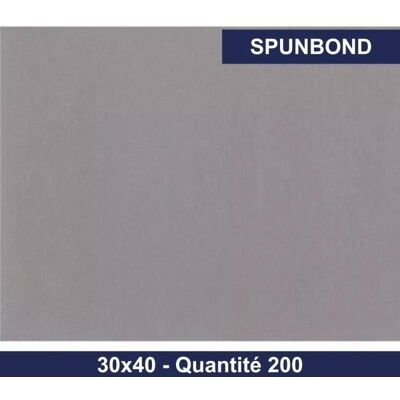 GARCIA DE POU GDP - Set de table spunbond - Gris - x200 Gris - Publicité GARCIA DE POU GDP - Set de table spunbond - Gris - x200 Gris - Publicité