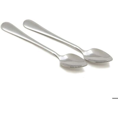 RWOYTHK Cuillère à pamplemousse lot de 2 18 cm de long argent - Publicité RWOYTHK Cuillère à pamplemousse lot de 2 18 cm de long argent - Publicité
