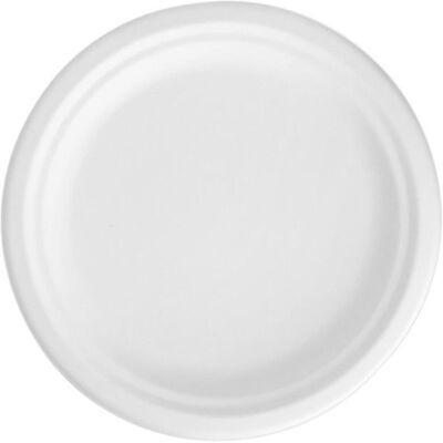 BESTGREEN 25 ASSIETTES 23CM BIODÉGRADABLES - BLANC- VAISSELLE DE FÊTE Blanc - Publicité BESTGREEN 25 ASSIETTES 23CM BIODÉGRADABLES - BLANC- VAISSELLE DE FÊTE Blanc - Publicité