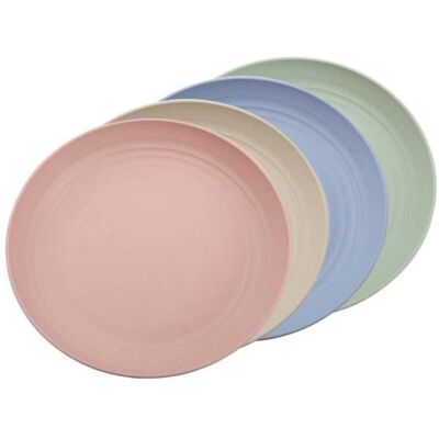 Assiettes à Dîner - Noname - 25 CM - Plastique Incassable - Lot de 4 - Compatible Lave-Vaisselle - Publicité Assiettes à Dîner - Noname - 25 CM - Plastique Incassable - Lot de 4 - Compatible Lave-Vaisselle - Publicité