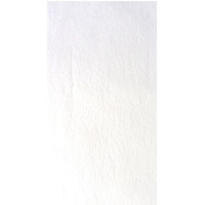 SANTEX Nappe intissée blanche 150 x 300 cm Blanc - Publicité SANTEX Nappe intissée blanche 150 x 300 cm Blanc - Publicité