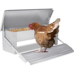 Mangeoire automatique - YUENFONG - 5 kg - Alimentation pour poules - Design pratique - Économie de coûts - Publicité Mangeoire automatique - YUENFONG - 5 kg - Alimentation pour poules - Design pratique - Économie de coûts - Publicité