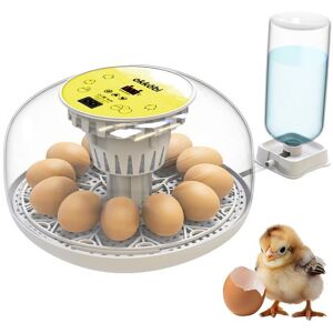 UNDERSCORE Couveuse Automatique - Okkobi - M12 - Contrôle Température & Humidité - 12-24 Œufs - Vue 360° Gris - Publicité UNDERSCORE Couveuse Automatique - Okkobi - M12 - Contrôle Température & Humidité - 12-24 Œufs - Vue 360° Gris - Publicité