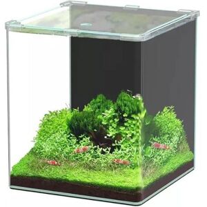 Aquarium Poisson Kubus Curve 30l Basic - Aquatlantis - Publicité Aquarium Poisson Kubus Curve 30l Basic - Aquatlantis - Publicité