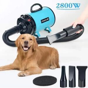 DASINKO Toilettage Séchoir Pulseur pour Chien 2800W Professionnel Sèche-Poils pour Animaux De Compagnie avec Vitesse Et Chaleur Ajustable Bleu - Publicité DASINKO Toilettage Séchoir Pulseur pour Chien 2800W Professionnel Sèche-Poils pour Animaux De Compagnie avec Vitesse Et Chaleur Ajustable Bleu - Publicité