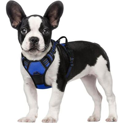 rabbitgoo Harnais Chien S Arnais Bleu Anti Traction Réfléchissant Gilet Réglable pour Chien Attache Devant Crochet de Laisse Bleu - Publicité rabbitgoo Harnais Chien S Arnais Bleu Anti Traction Réfléchissant Gilet Réglable pour Chien Attache Devant Crochet de Laisse Bleu - Publicité